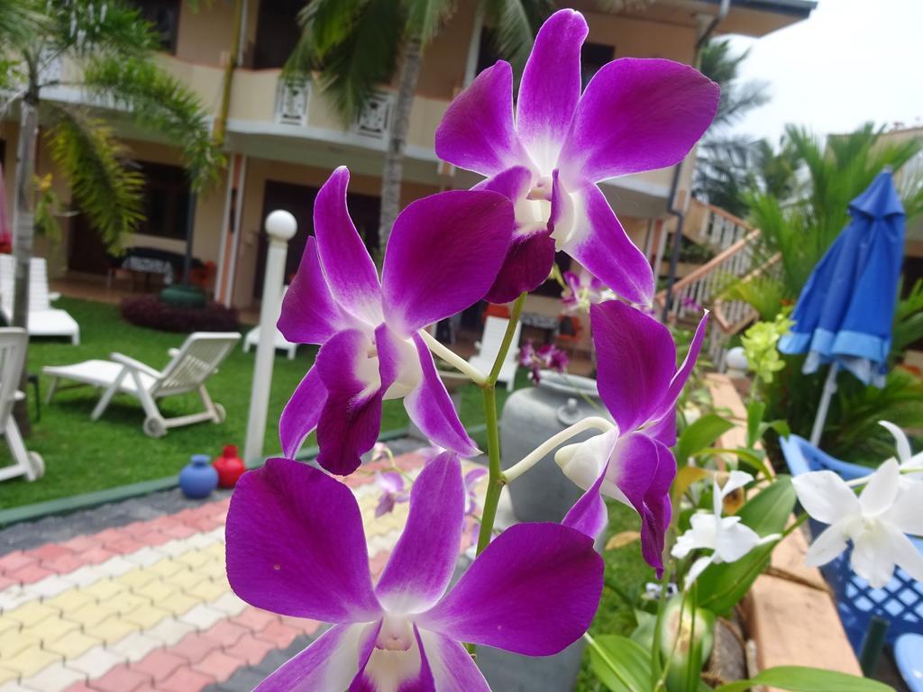 Hilda Guest House Hikkaduwa Bagian luar foto